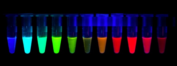 fluorescent proteins