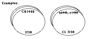 labelled plates