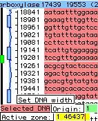 Pol3 beta + DNA